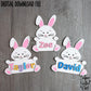 Easter Bunny Name Sign Paint Kit, Personalized DIY Painting Kit, SVG, Digital Laser Cut File Files, Cute Rabbit Decor, Bunny Holding Sign Plaque, Custom Add Name, Easter Eggs Basket Filler