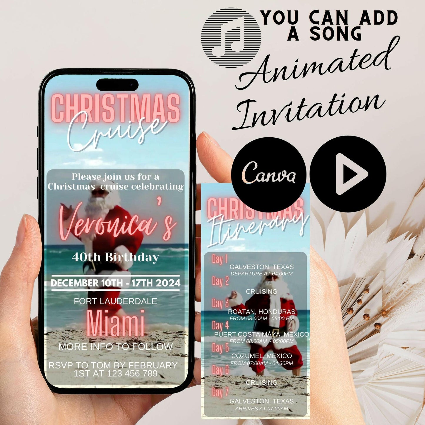 Jingle and Cruise: A Christmas Birthday Celebration - Animated Invitation