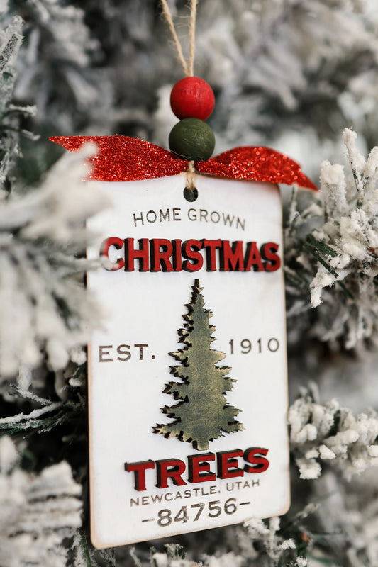 Updated 2023 Customizable Christmas Tree Ornament Laser Cut Digital File | Zip Code Ornament | Family Name Ornament | Personalized Family Ornament | Home