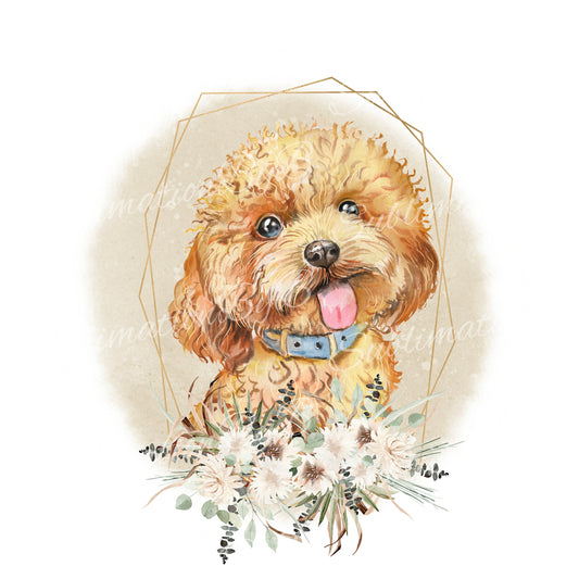 Cute Poodle Sublimation Design PNG, Adorable poodle Sublimation Designs Download, Cutest Dog Sublimation Design, Dog Clip art design