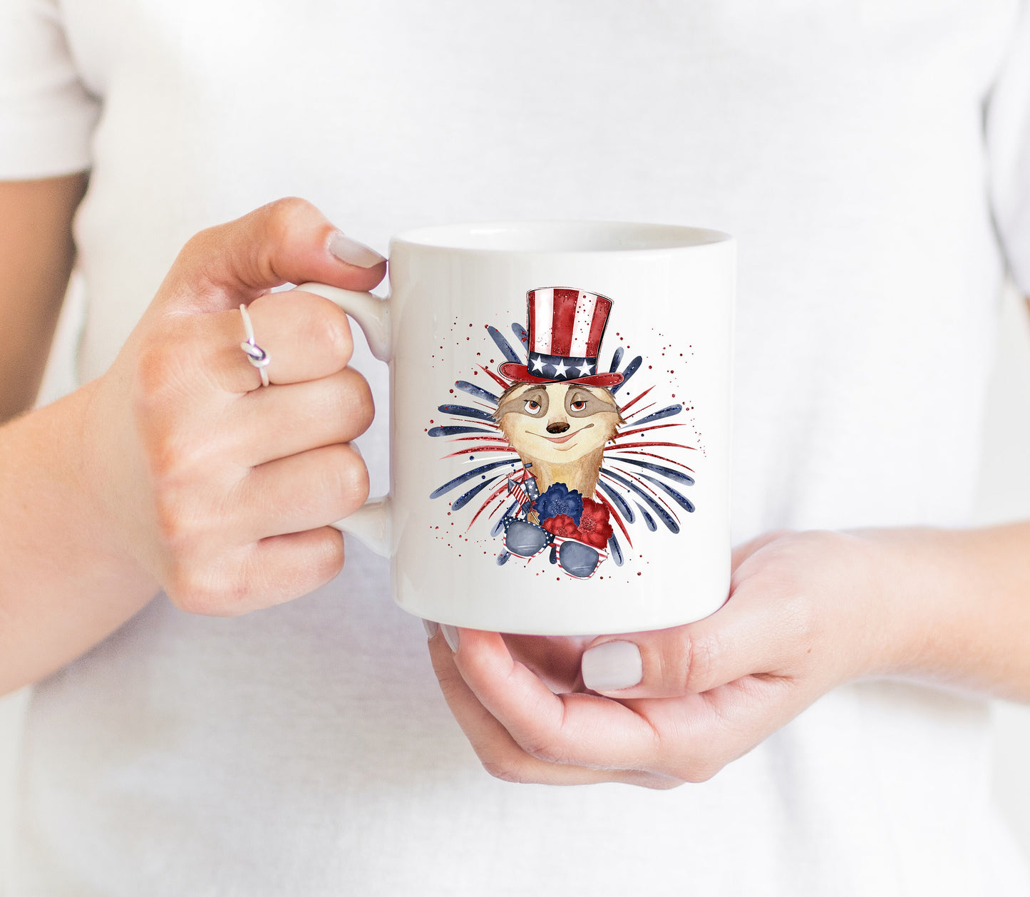 4th Of July Sloth Sublimation Design PNG, Cool America Sublimation Download, Adorable Sloth Sublimation Design, Independence day
