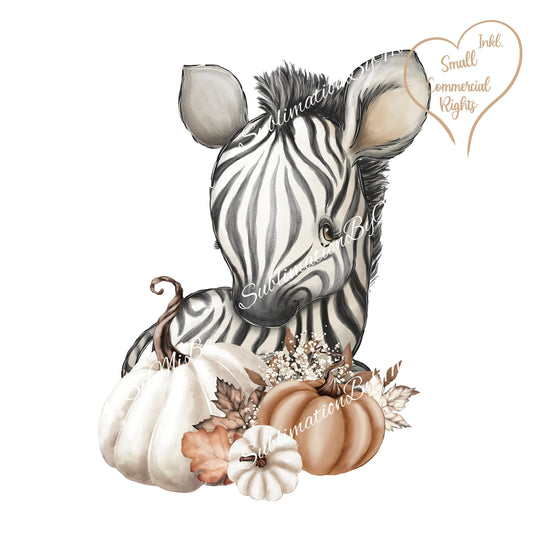 Fall Zebra Sublimation Design PNG, Pumpkin Animal Sublimation Designs Download, Automn Zebra Sublimation Design, Cutest baby Pumkin Zebra