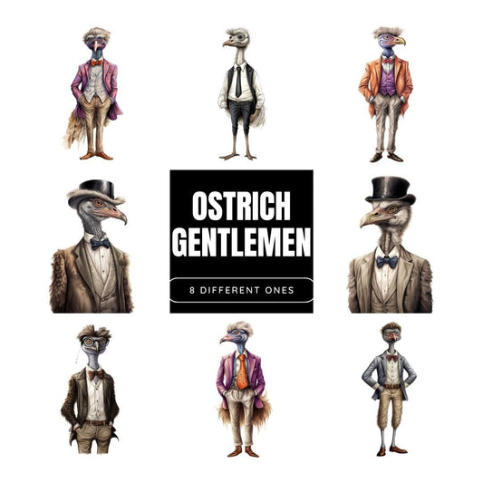 Elegant Sophisticated Sublimation Bundle: Gentleman Ostrich Full Body Illustrations for Apparel, Prints, Crafts