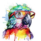 Quirky Feathered Geek Clip Art: Vibrant Parrot Sublimation Graphics