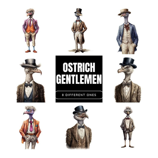 Regal Refined Sublimation Bundle: Gentleman Ostrich Full Body Illustrations for Apparel, Prints, Crafts