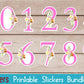 Number Stickers Pink Floral Numbers from 0 - 9 Printable