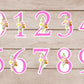 Number Stickers Pink Floral Numbers from 0 - 9 Printable