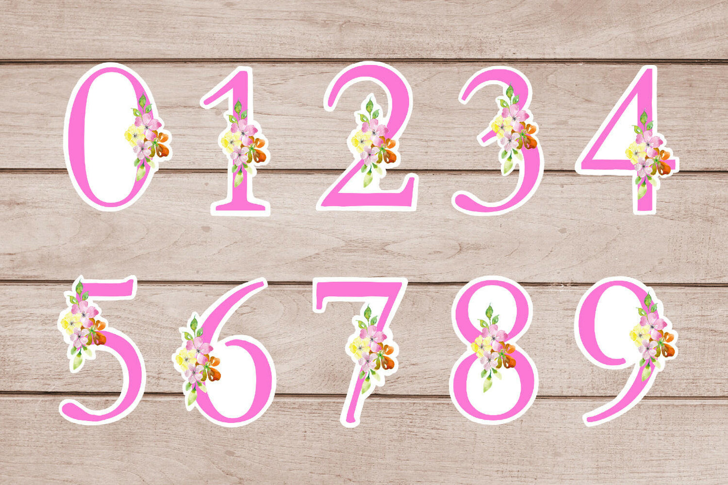 Number Stickers Pink Floral Numbers from 0 - 9 Printable