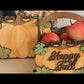 Pumpkin Autumn / Fall Baskets Bundle Big + Mini