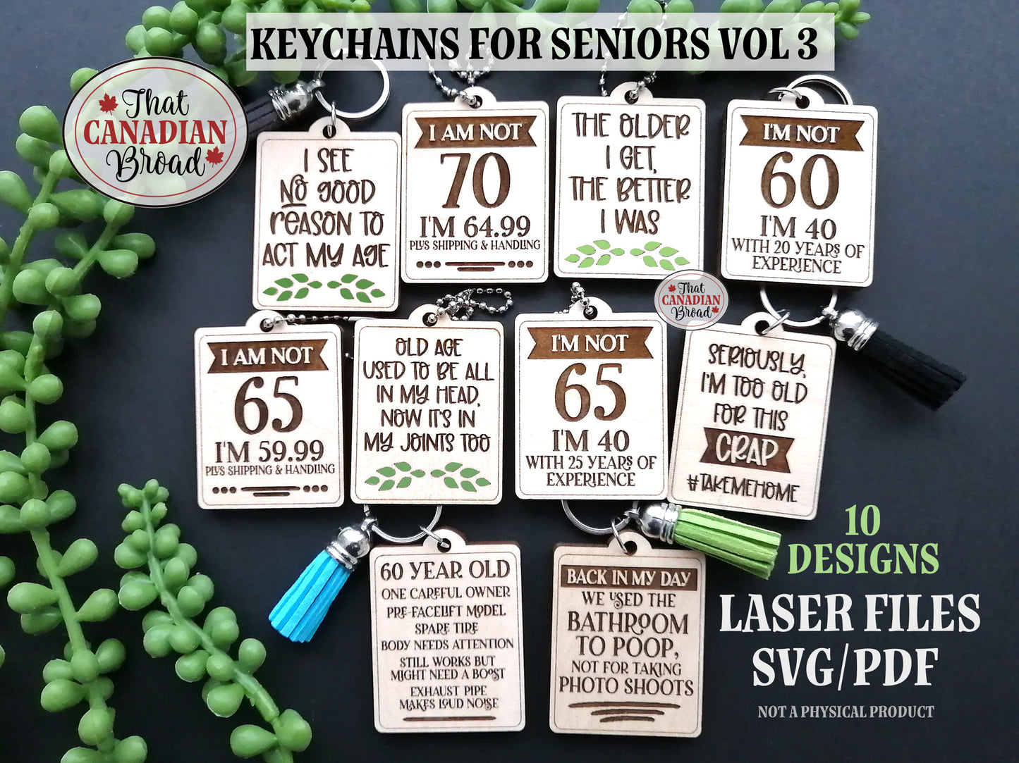 Keychains for Seniors Vol 3, 10 designs, Seniors, Keychains, Funny keychains, keyhangers and keychains,laser file,  digital file only, svg, pdf,